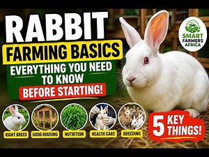 🐇Rabbit Farming Basics: Everything You Need to Know Before Starting