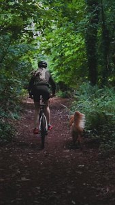Try OS Maps Premium with a free two-week trial: https://ow.ly/48Wb50PFsi1 Kyarna: "It’s super versatile; we recently tracked a bike ride we did with the dogs! I love being able to plan a route before we go & track it once we are out and about!" 📷 instagram.com/thisgoldenjourney | Ordnance Survey