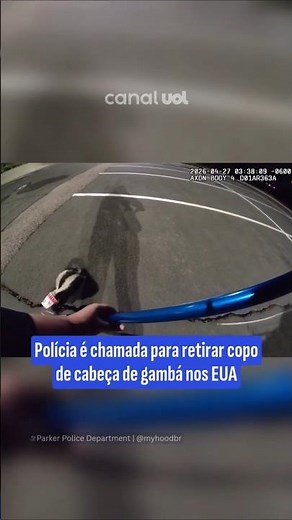 Agente salva gambá preso em objeto e vídeo viraliza nas redes sociais