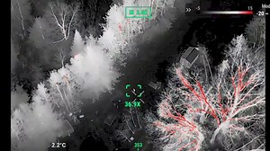 Kangaroo missing in WI found using drone