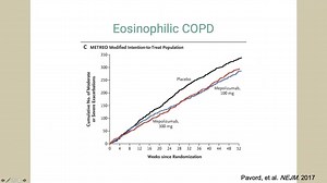 COPD Phenotypes: Treatable Traits and Endotypes