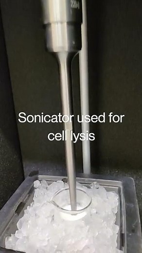 Sonicator used in laboratory for cell lysis ll Lifeplusscience