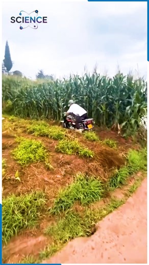 Real-life comedy clips bursting with fun.🤣🎬 | Science