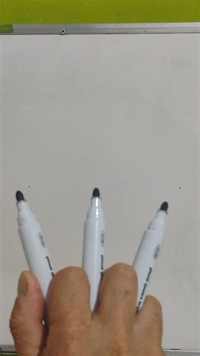 Rei do Gado: A Arte na Fazenda e a Vida do Boi