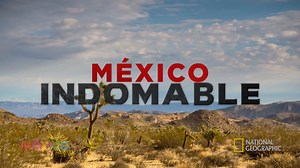 15K views · 383 reactions | Llega la tercera parte de esta serie, en la que @National Geographic muestra los secretos naturales que esconde nuestro país. Disfruta del capítulo y enamórate, aún más, de México. | Mexico.mx | Facebook