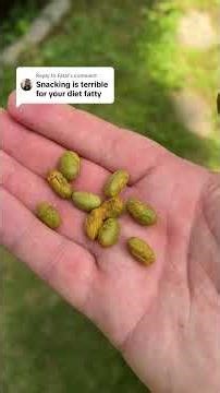 Snacking on a Diet? These Tips Will Help! #snack #food