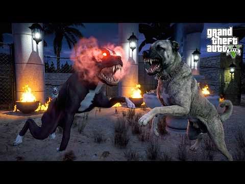 PITBULL TERMINATOR UNLEASHES ITS NEW BITE! TERMINATOR BITE! - GTA 5