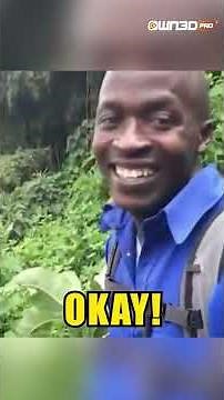 Perfectly Timed OWN3D Pro Alerts on Stream! 🎯🔔 #StreamerMagic #pranks #streaming