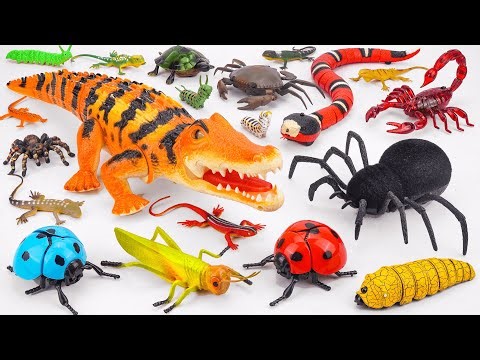 Ultimate ZURU Robo Alive Insects ASMR 🦎 Robo Crocodile & RC Spider & Snake (No Talking)