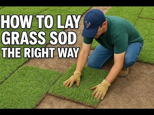 How to Lay Grass Sod the Right Way