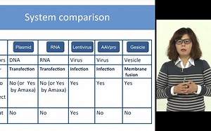 CRISPR-Cas9技术简介和操作原理