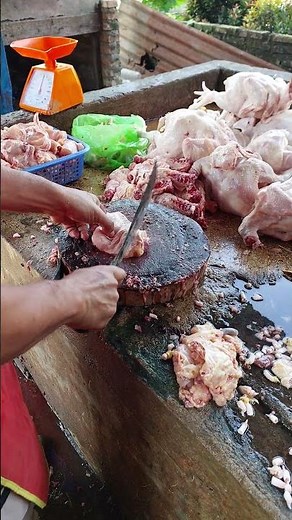 Chicken Cutting Techniques for Various Recipes