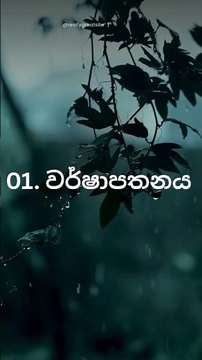 BST grade 12 (lesson 1) (part 1) short note