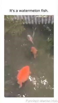 Dank Memes 😭 Part 94