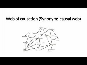 Web Of Causation.