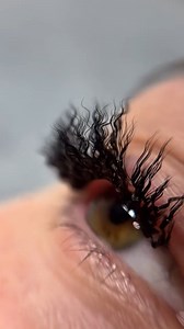 5.7M views · 58K reactions | Excellent eyelash extension techs But does anyone really like curly eyelashes? 樂 Just don't understand this trend and really curious . . . ❤️Thanks @arno.in.canada for the cute video . . . . . . #lashes #lashsupplies #lashsupplier #lashextensions #volumelashes #humor #beauty #volumefans #justforfun #lashartist #lashgoals #lashtech #CurlyLashExtensions #LashHumor | Abonnie Lashes | Facebook