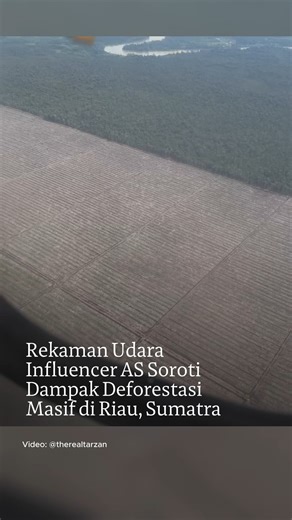 Mongabay Indonesia on Instagram: "Kondisi tutupan hutan di Sumatra kembali menjadi perhatian publik global setelah seorang influencer asal Amerika Serikat memublikasikan rekaman udara saat melintasi wilayah Provinsi Riau. Video yang beredar luas menampilkan hamparan lahan terbuka yang sangat kontras dengan kawasan hutan hijau di sekitarnya, diduga kuat sebagai dampak langsung dari praktik deforestasi. Unggahan tersebut memicu diskusi luas mengenai isu lingkungan dan keberlanjutan. Influencer men