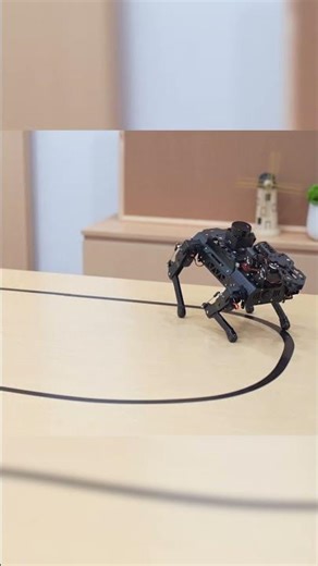 Give PuppyPi a line, and it'll follow it to the end🎯—even around obstacles