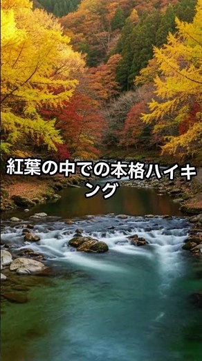 【東京の穴場】11/8(土)見頃確定⁉️ 御岳山ケーブルカー紅葉ハイキング🍁 #2025年紅葉 #東京紅葉