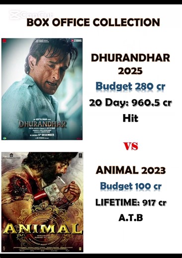 Dhurandhar Box office collection vs Animal Box office collection Comparison Viral Video Trending
