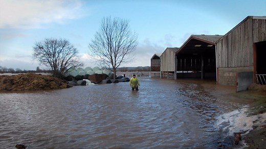Geography KS3/GCSE: The impact of flooding in the UK - the Somerset Levels