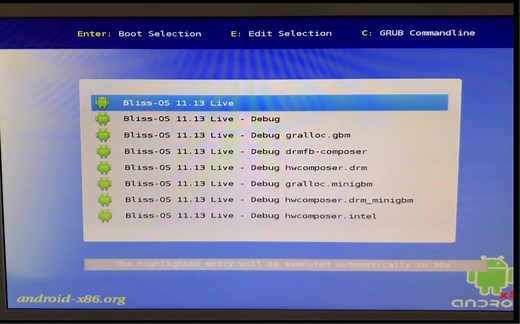 一个优化过的安卓系统——blissos的安装