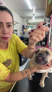 Tipos de Otite em Cães: Entenda as Diferenças
