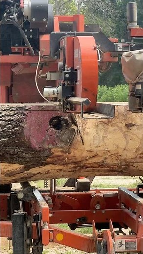 A fallen walnut tree becomes lumber 🤓