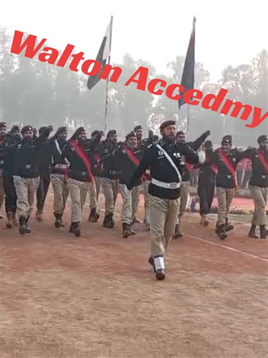 Walton Academy Training Overview