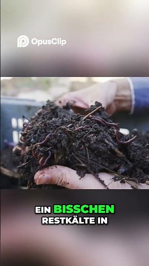 Gartenpflege im März: Tomaten, Paprika, Chili jetzt säen!