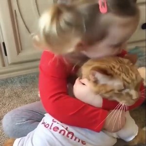 7.4K views · 358 reactions | Such a cute cuddle buddies    | Cats Cute | Facebook