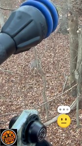 12 reactions | Waiting for Mr. Right #midwestbucks #rutcation | Midwest Bucks | Facebook