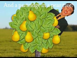 12 Days of Christmas Animation