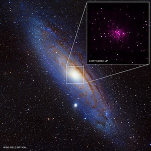 Trove of Black Holes Discovered in Andromeda Galaxy