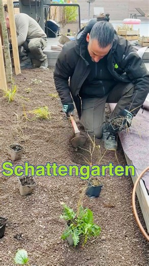 Davit Arican on Instagram: "SCHATTENGARTEN💚Das Besondere an Schattengärten liegt daran, dass sie Pflanzen beherbergen, die wenig Licht benötigen oder sogar im Schatten besser gedeihen als in direktem Sonnenlicht. Das unterscheidet sie deutlich von „normalen“ Gärten, die meist auf Sonnenliebhaber-Pflanzen ausgelegt sind. • Im Schatten wirken oft Grünpflanzen mit unterschiedlichen Blattstrukturen besonders attraktiv. • Farbige Blüten sind seltener, daher wird auf Blattfarbe, Form und Textur geset