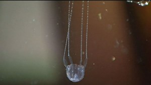 Teen stung by box jellyfish