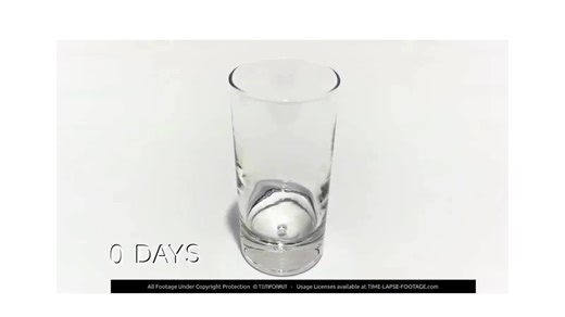 #mechanicalengineering #processengineering #masstransfer #thermodynamics #transportphenomena #energy #multiphase #cfd #nature | Aliyar Javadi