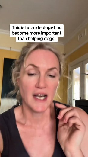 At what point will these extremist, ideological trainers realise that in some cases, refusing to even consider aversive control is actually COMPRISING the welfare & quality of life of dogs & owners. The standard is now ‘who can be the most force free’, not who can help the most dogs & owners. The amount of force free trainers privately reaching out to myself & others, scared to speak out when they know it’s not working, is more than people realise. | Dog Sense Training and Behaviour