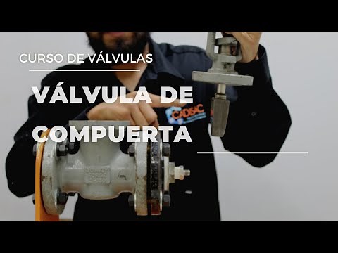 valvula de compuerta. Partes internas.