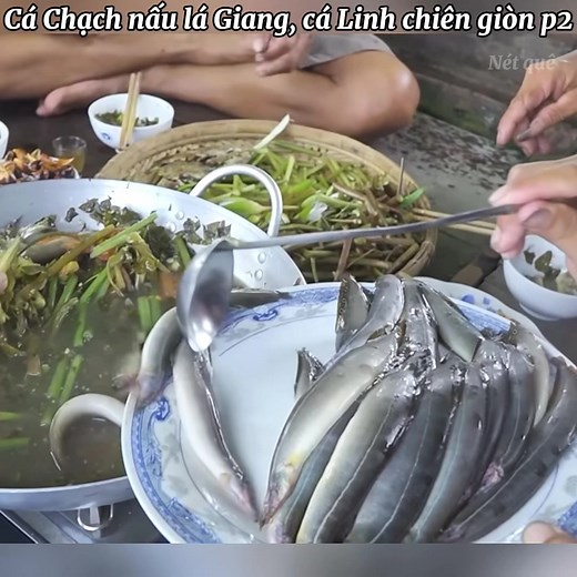 Cá Chạch nấu lá Giang: Món Ngon Miền Tây