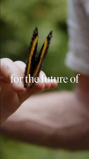 What Makes a Natural Diamond? | Only Natural Diamonds