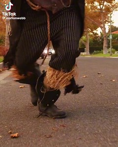 Tik tok: marlonwebb | Forever Horror