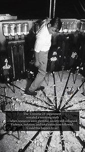 "The 'Universe 25' experiment revealed a terrifying truth— #Universe25 #SocialCollapse #HumanBehavior #PsychologicalExperiment #DystopianReality #LessonsFromScience | Ancient Theories Nerd