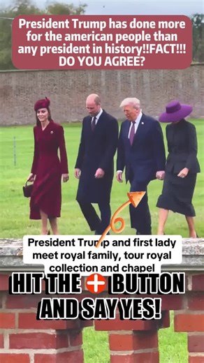 dfbbtf (@dfbbtf)’s videos with original sound - dfbbtf