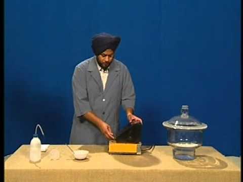 Specific Gravity of Soil