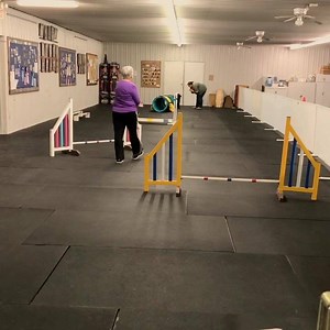 1.1K views · 17 reactions | Tonight was the third night of agility classes. This was one of the four lanes Anise worked on tonight. I think the classes are going really well. Anise is actually a very nice poodle for me to learn agility with, because she naturally doesn’t speed ahead of me. I am learning about directing her using correct body language. Much easier said than done at times...lol. But it’s so much fun! | Noir Poodles | Facebook