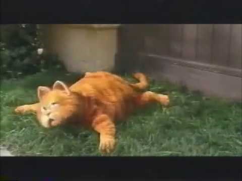 Garfield the Movie Commercial - 2004