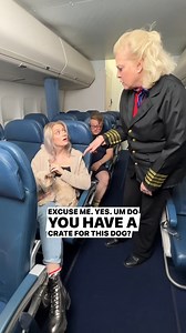 161K views · 234 reactions | Flight attendant steals my dog. | Angel & Tony | Facebook