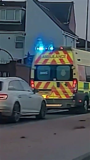 Funny dash cam moments - Throwback Thursdays #35