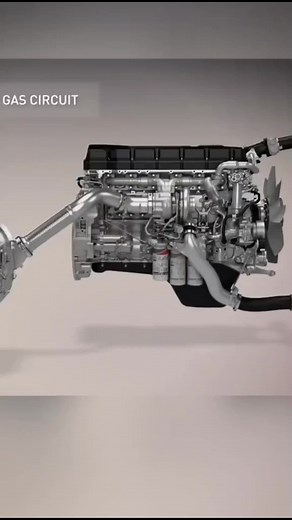 RONI DISSEL PUNGGUR (@roni.dissel.punggur)’s videos with suara asli - RONI DISSEL PUNGGUR